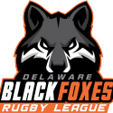 Delaware Black Foxes Logo