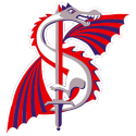 Washington D.C. Logo