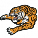 Sacramento Young Tigers Logo