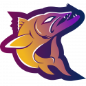 San Diego Barracudas Logo